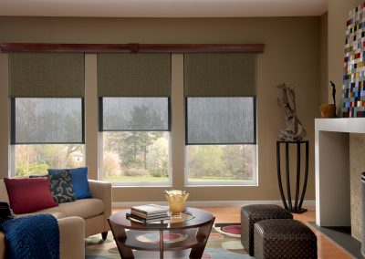 Aja Blinds 21s
