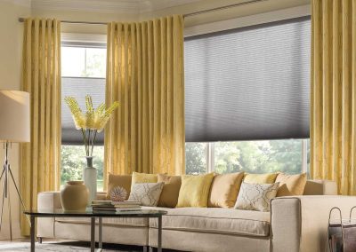 Aja Blinds 4s