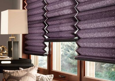 Aja Blinds 9s