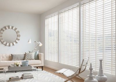 Ajas Blinds 1