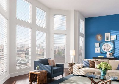 Ajas Blinds 13