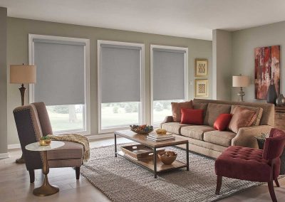 Ajas Blinds 19