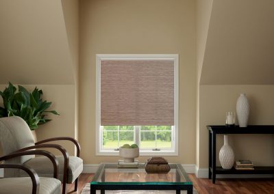 aja blinds 001