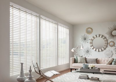 aja blinds 018