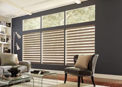 aja blinds 035