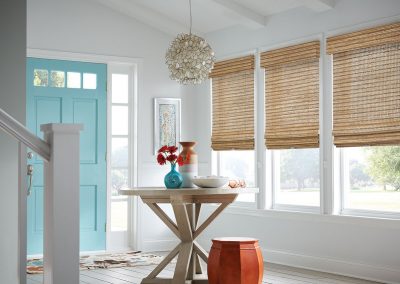aja blinds 048