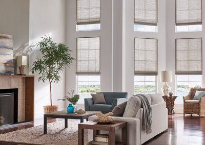 aja blinds 049