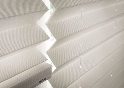aja blinds 069