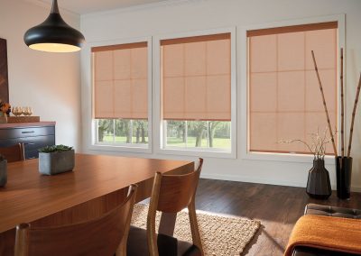 aja blinds 081