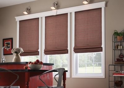 aja blinds 093