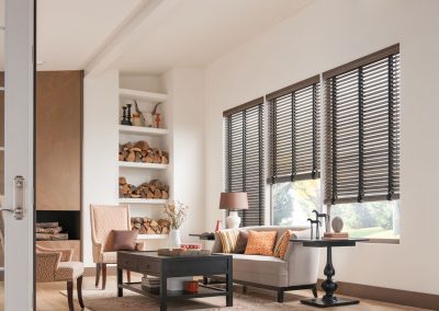aja blinds 109