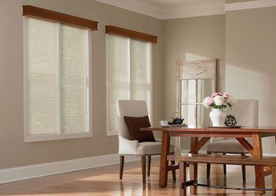 aja blinds 154