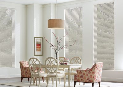 aja blinds 156